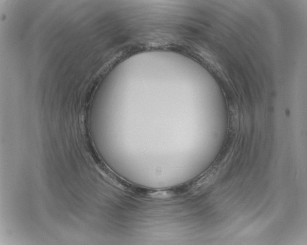 X0000076300269200609290736