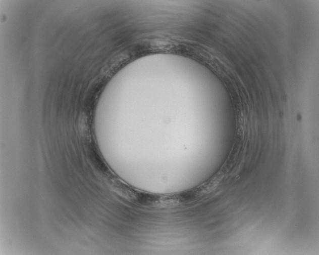 X0000076300270200609290736