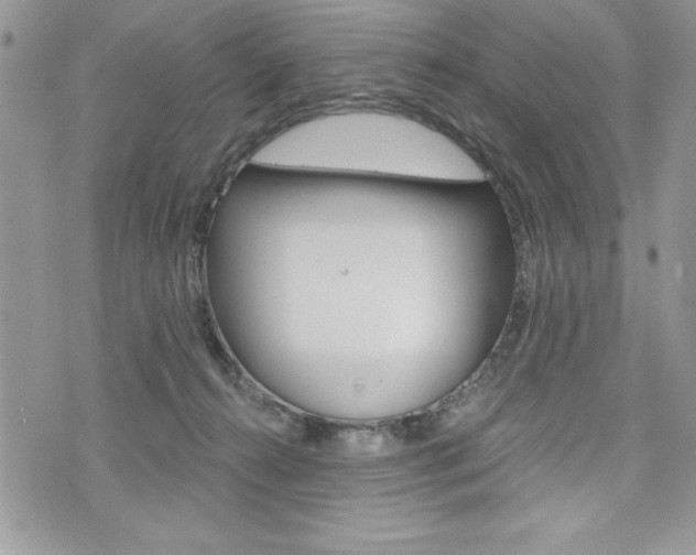 X0000076300272200609290736