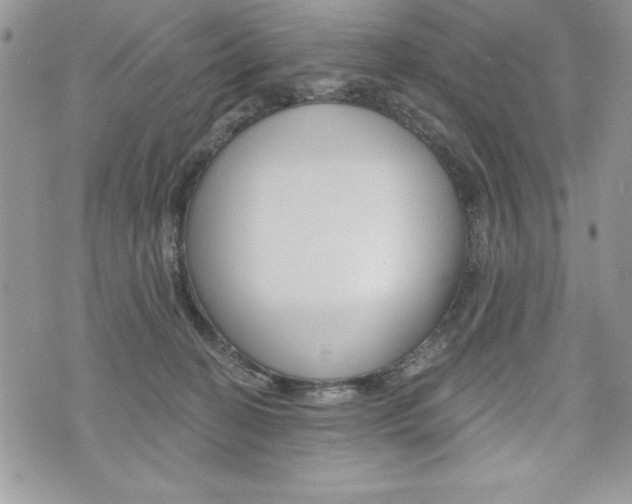 X0000076300274200609290736