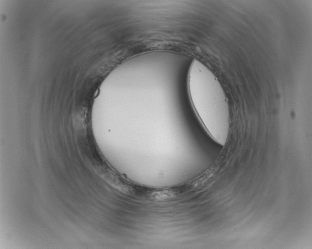 X0000076300275200609290736