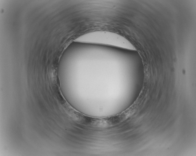 X0000076300276200609290736