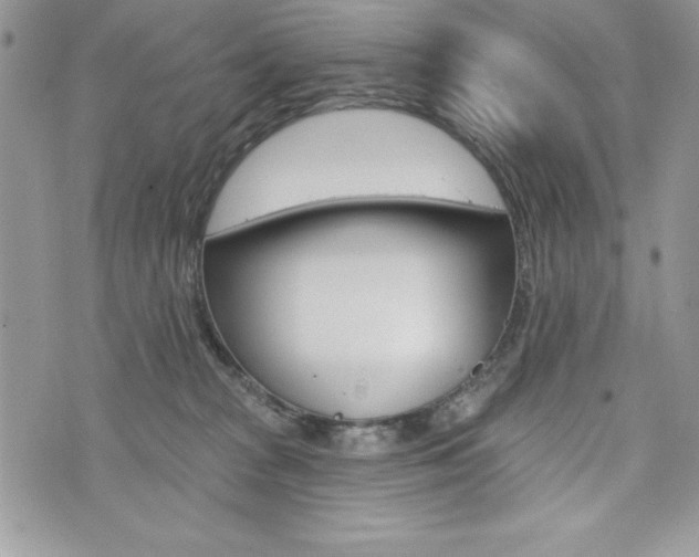 X0000076300277200609290736