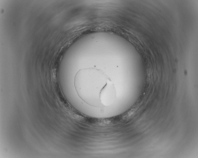 X0000076300278200609290736