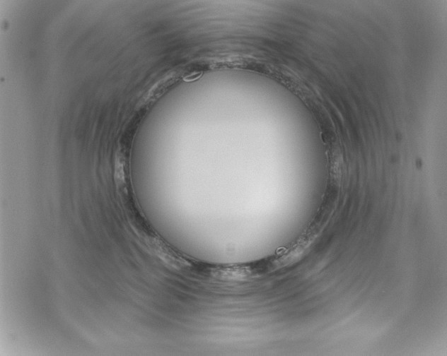 X0000076300282200609290736