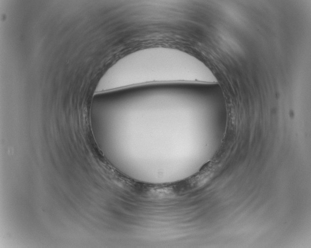 X0000076300283200609290736