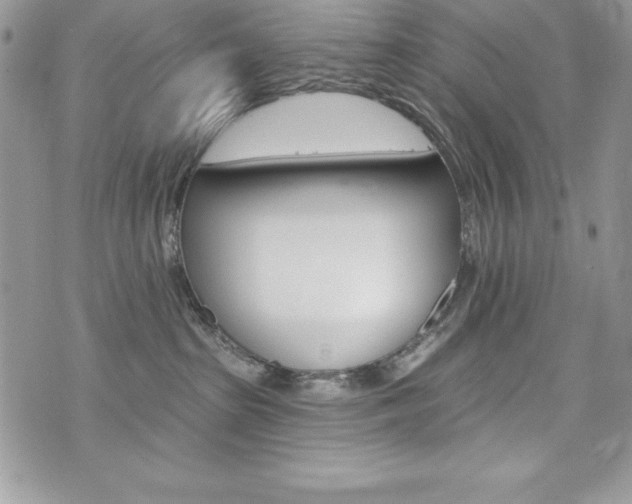 X0000076300285200609290736