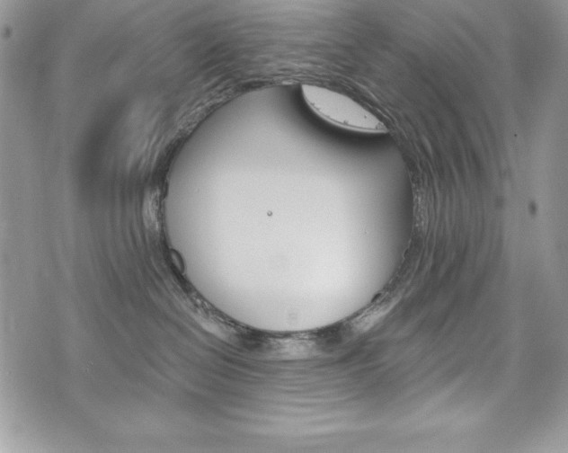 X0000076300286200609290737