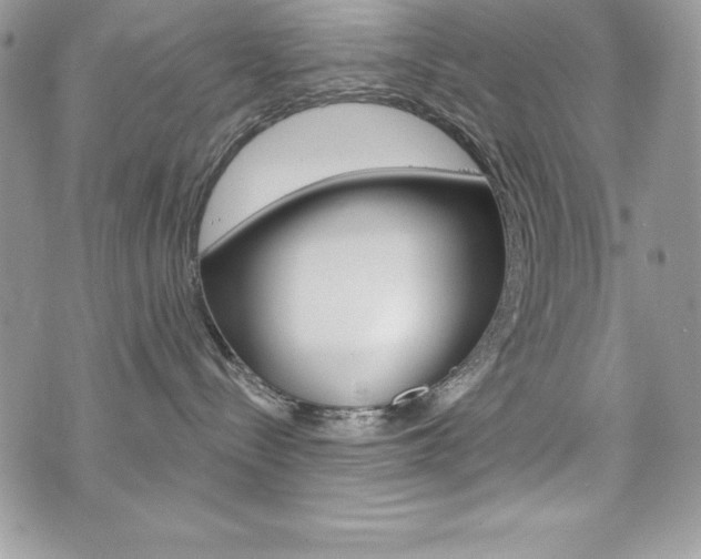 X0000076300288200609290737