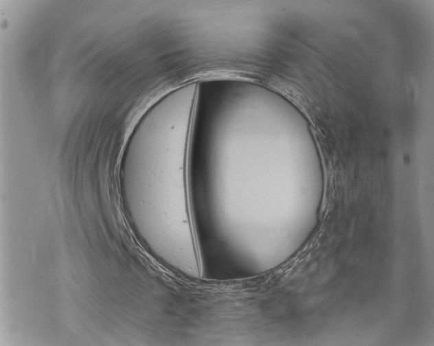 X0000076300289200609290736