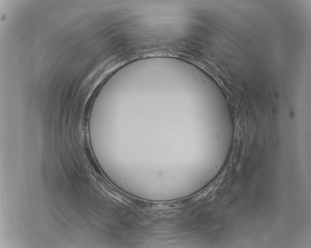 X0000076300290200609290736