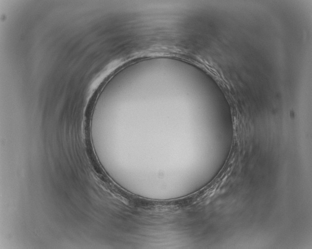 X0000076300292200609290736