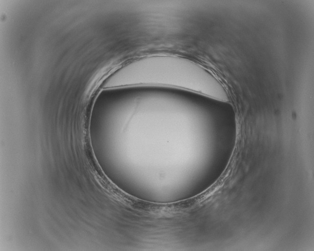 X0000076300293200609290736