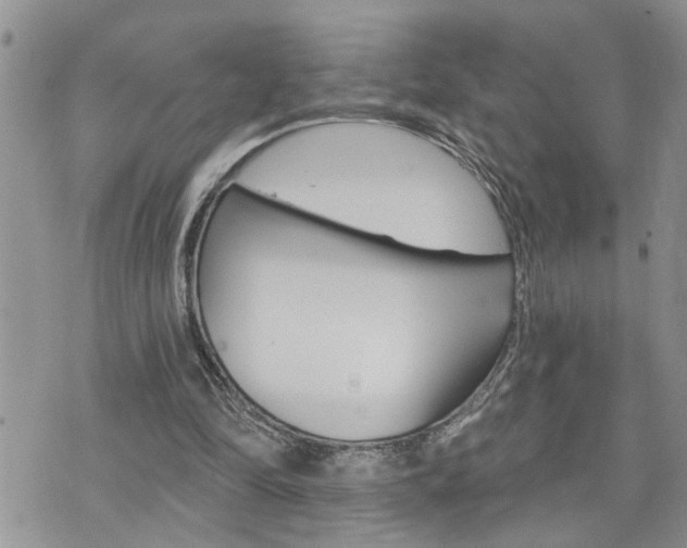 X0000076300294200609290736