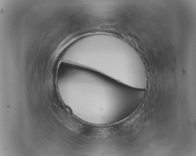 X0000076300295200609290736