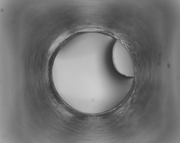 X0000076300296200609290736