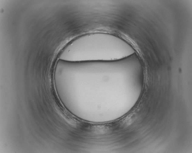 X0000076300298200609290736