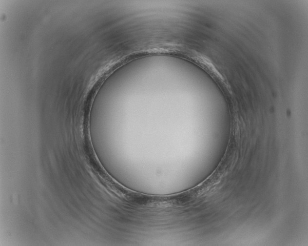 X0000076300299200609290736