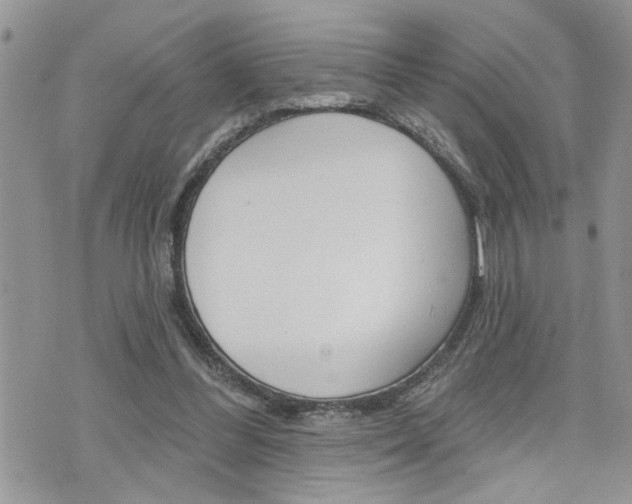 X0000076300300200609290736