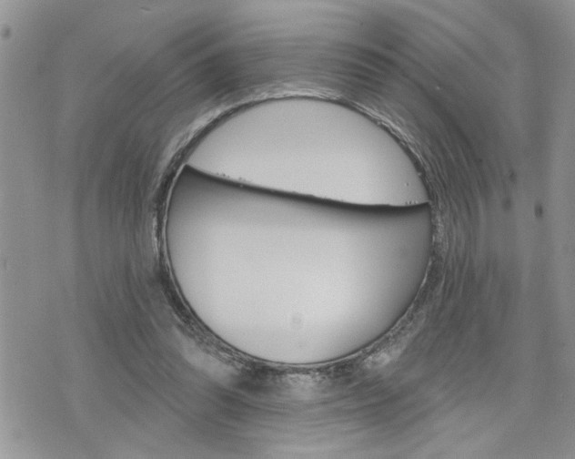 X0000076300302200609290736