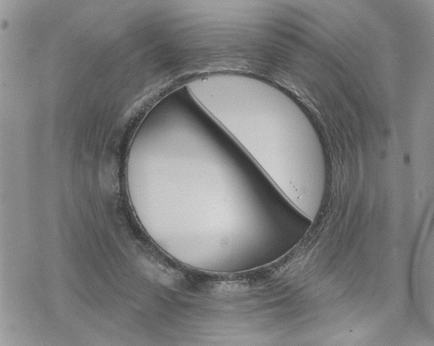 X0000076300303200609290736