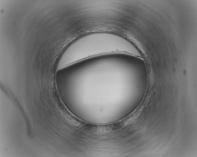 X0000076300305200609290736