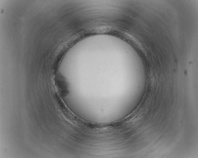 X0000076300307200609290735