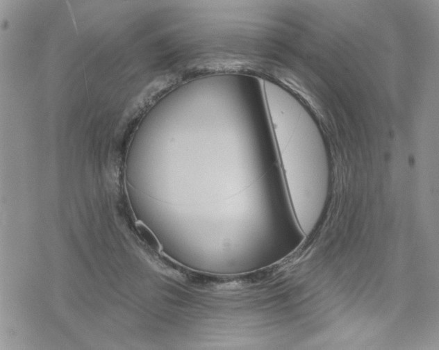 X0000076300309200609290735