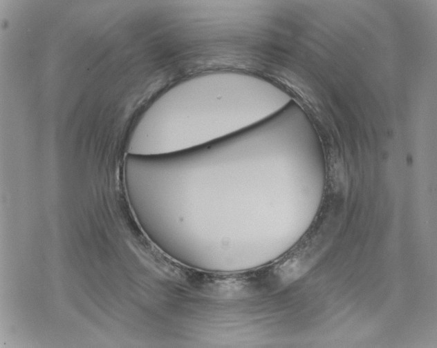 X0000076300310200609290735