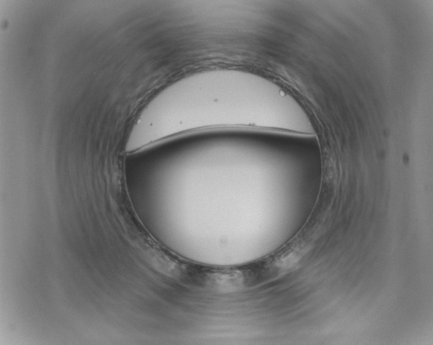 X0000076300317200609290735