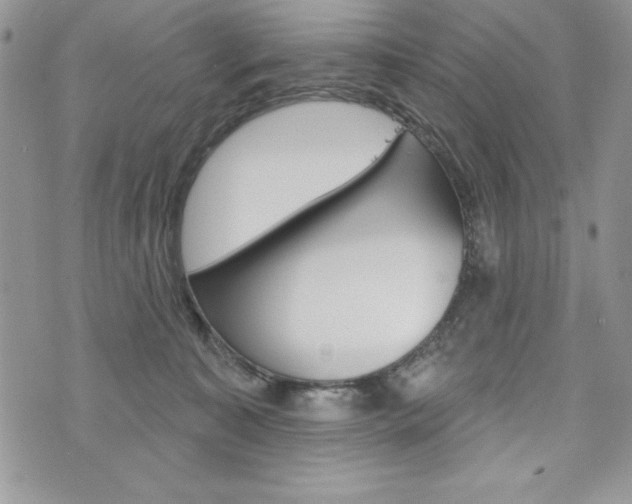 X0000076300323200609290735