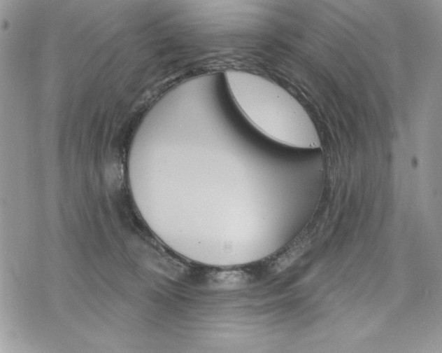 X0000076300324200609290735