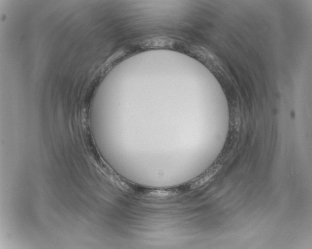 X0000076300326200609290735