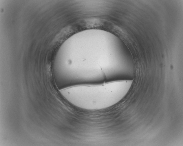 X0000076300327200609290735