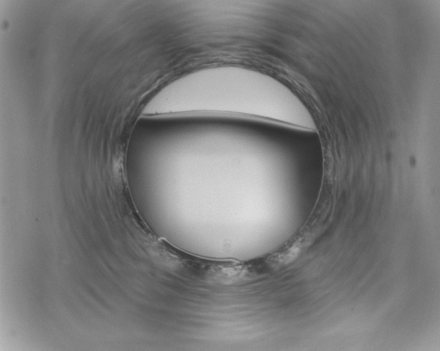 X0000076300329200609290735