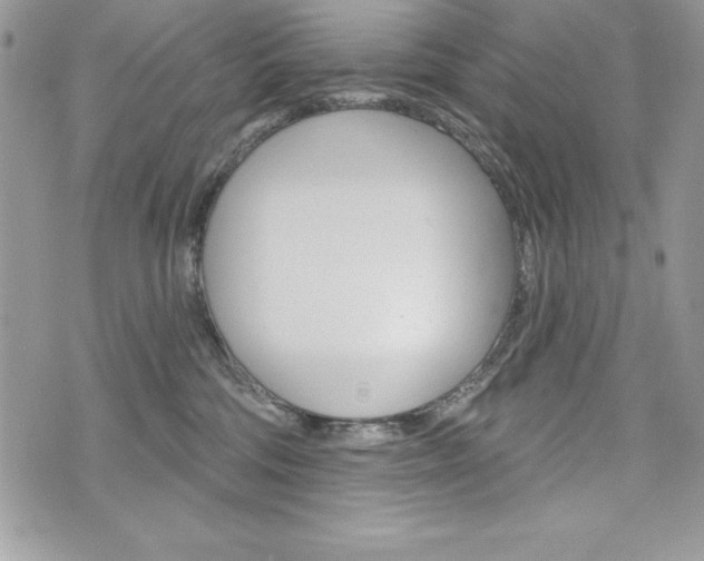 X0000076300330200609290735