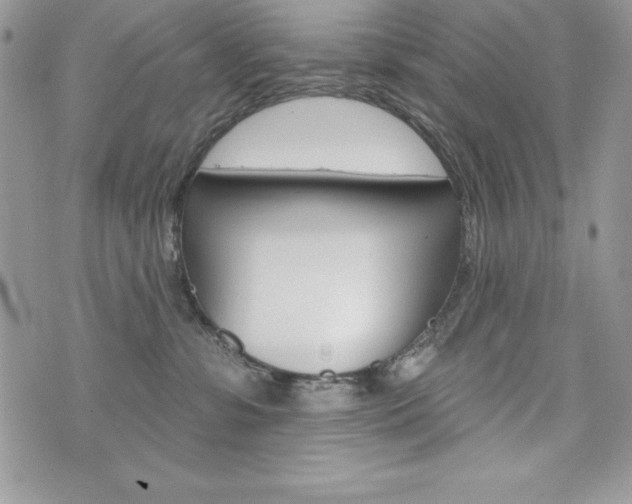 X0000076300331200609290735