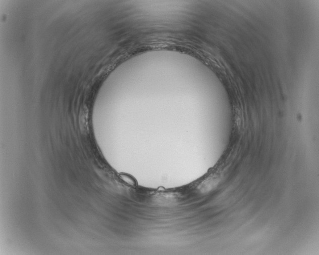 X0000076300332200609290735