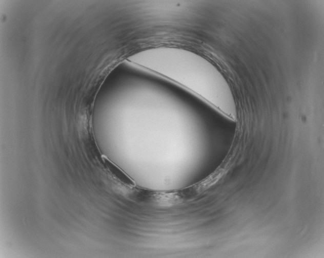 X0000076300333200609290735