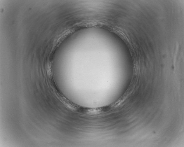 X0000076300335200609290735