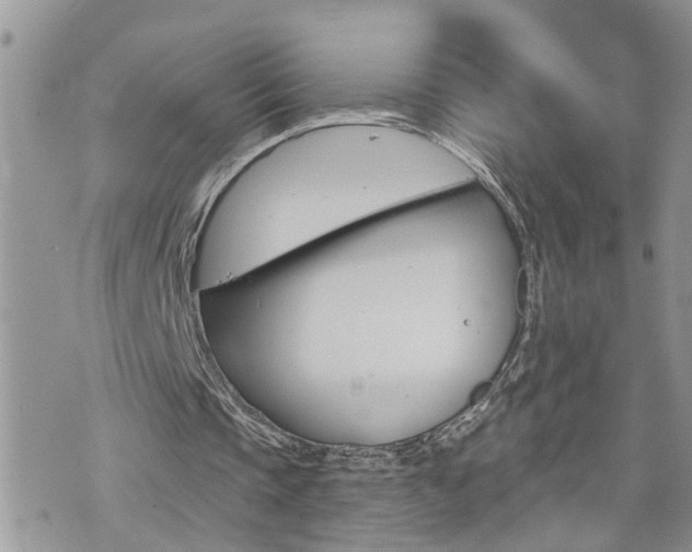 X0000076300337200609290734