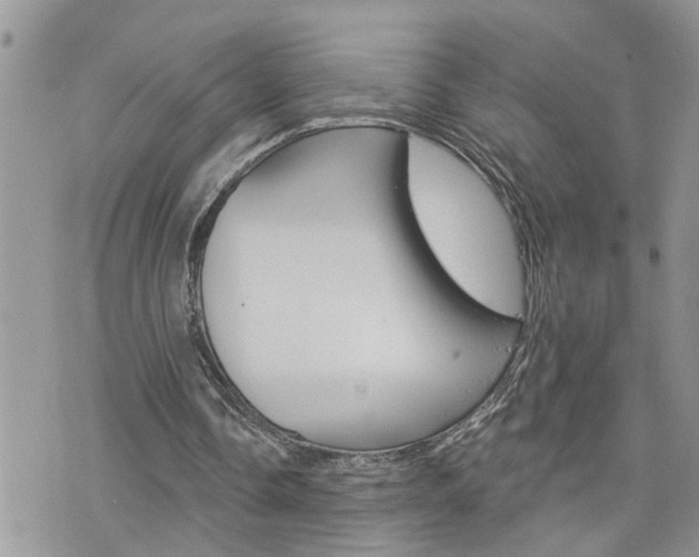 X0000076300338200609290734