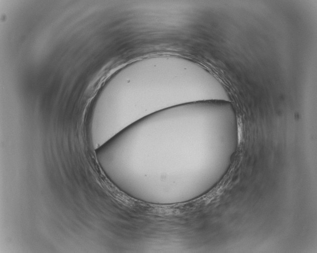 X0000076300339200609290734