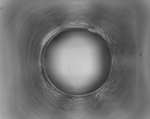 X0000076300340200609290734