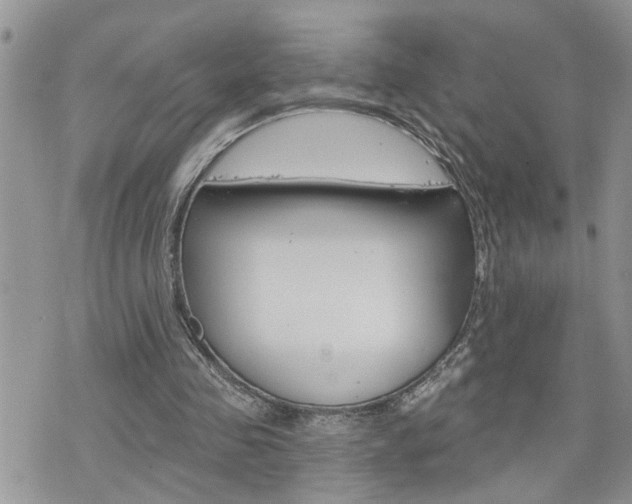 X0000076300341200609290734