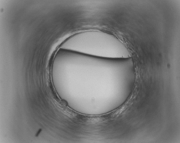 X0000076300342200609290734