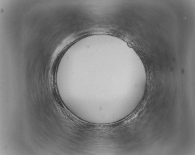 X0000076300343200609290734