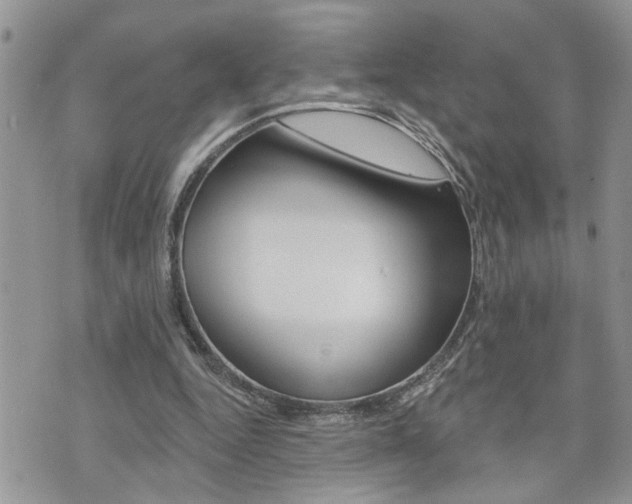 X0000076300344200609290734