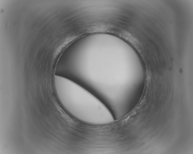 X0000076300345200609290734