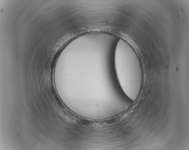 X0000076300346200609290734